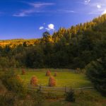 Vacances à la ferme