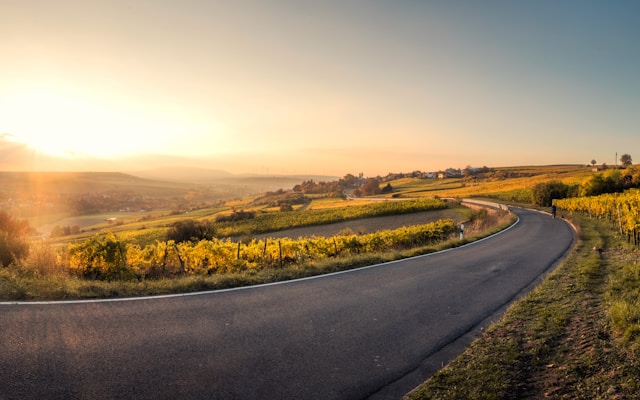 Les routes des vins