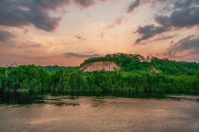 fleuve Amazone