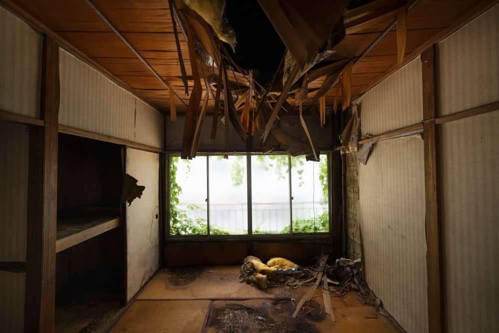 Intérieur dégradé et abandonné d'un logement insalubre avec un plafond effondré et des tatamis usés.
